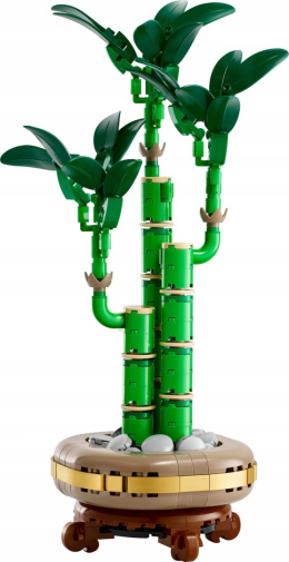 LEGO Botanicals Dracena Sandera 10344 Walentynki