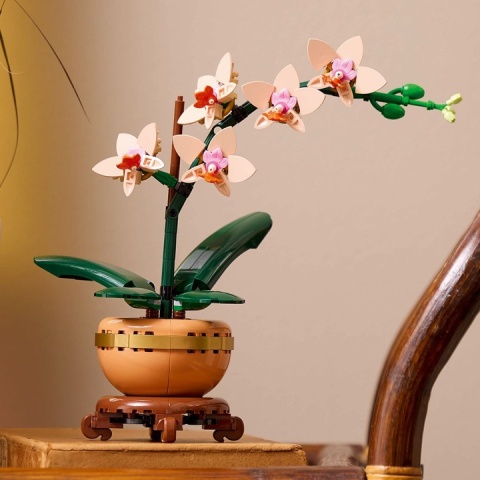 LEGO MAŁA ORCHIDEA 10343 LEGO MAŁA ORCHIDEA 10343